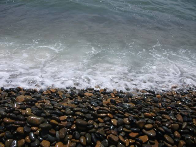 DSCF3979.jpg