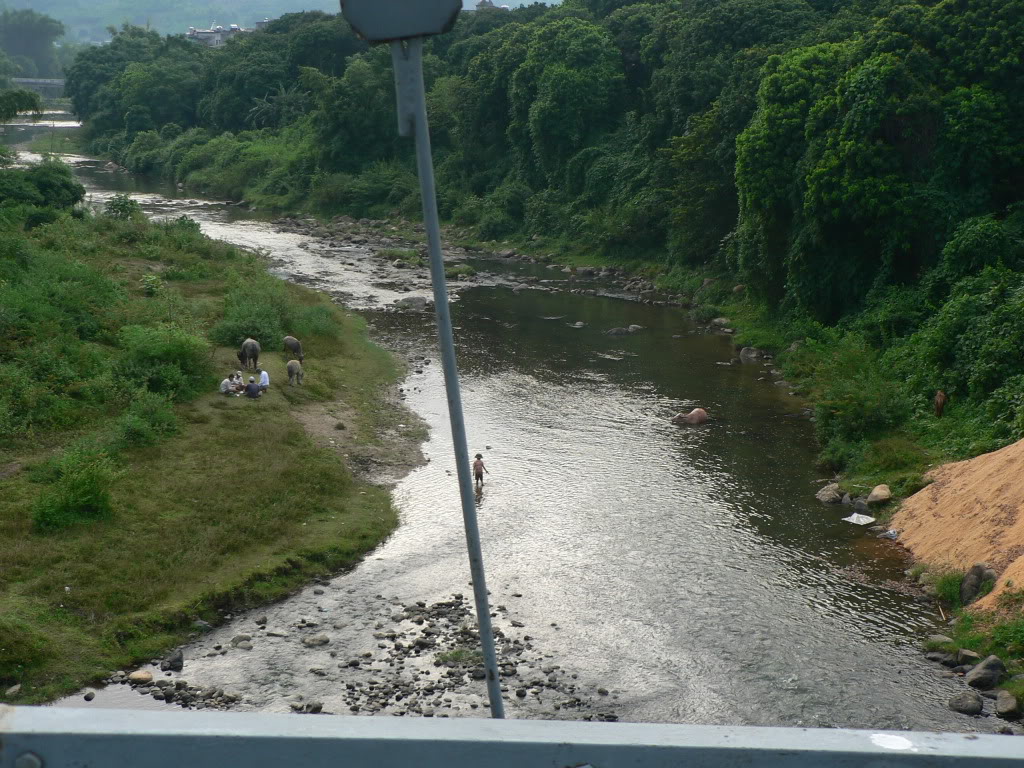 P1090889.jpg