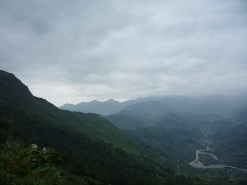P1020227800x600.jpg