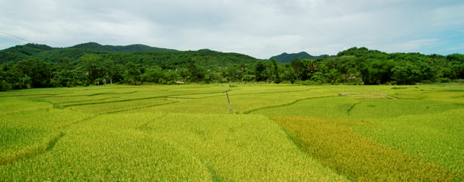 DSC_4016-1.jpg