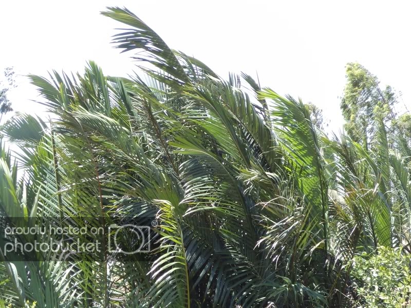 DSC00885.jpg