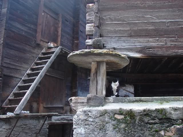 DSC09839.jpg