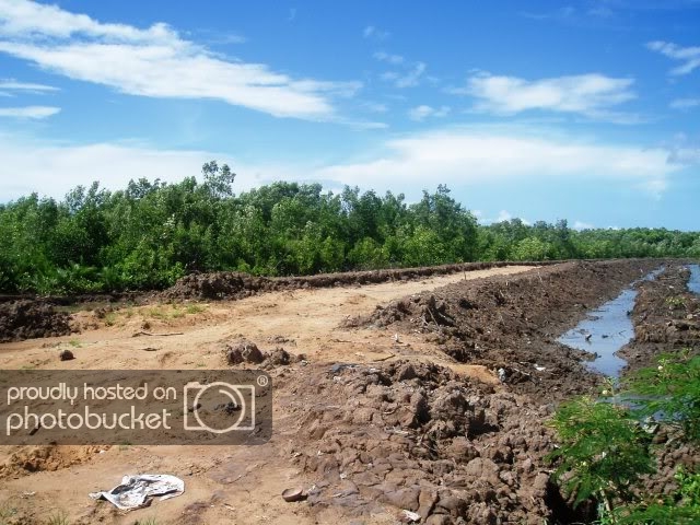 P1010306.jpg
