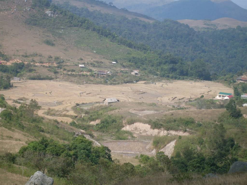 SDC10604.jpg