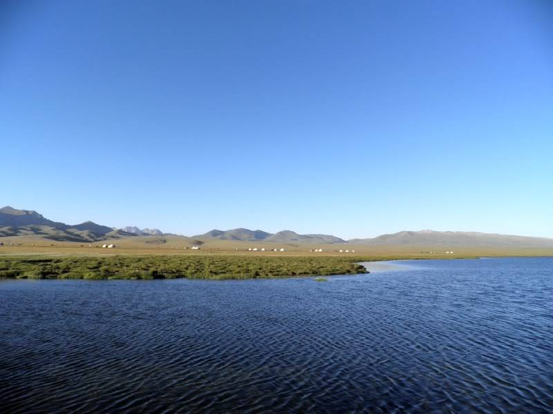 P7253020.jpg