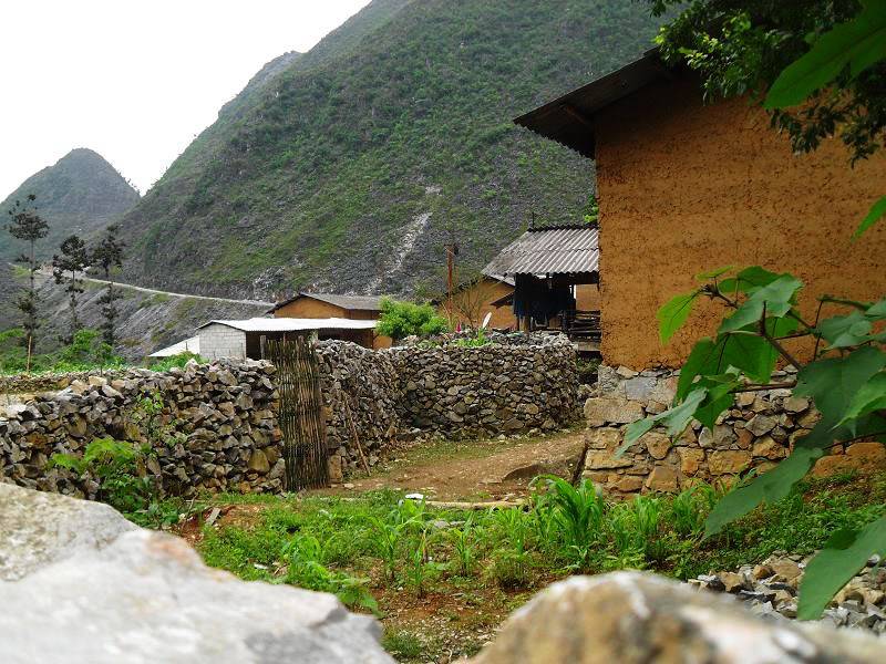 SDC15247.jpg