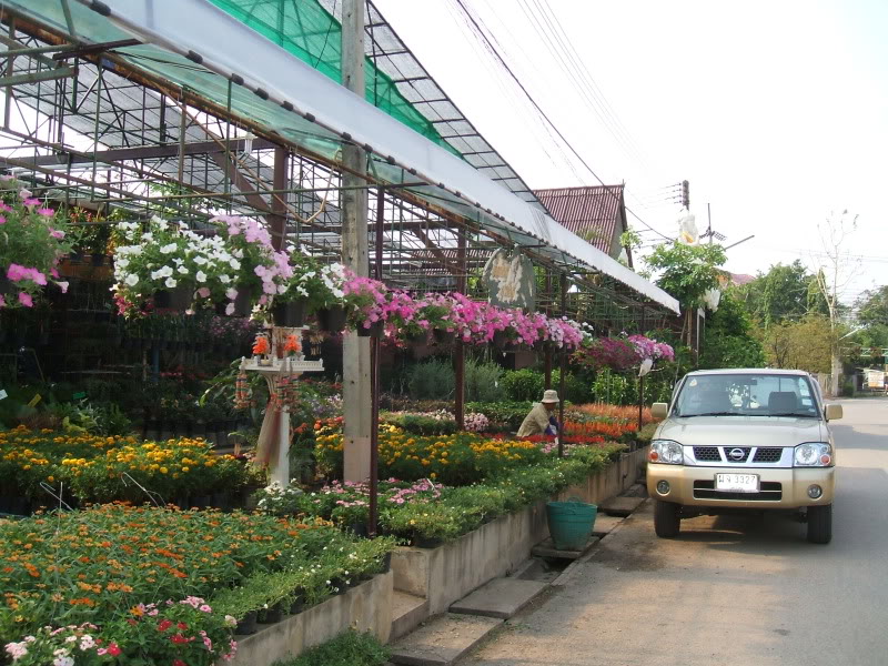 DSCF7597.jpg
