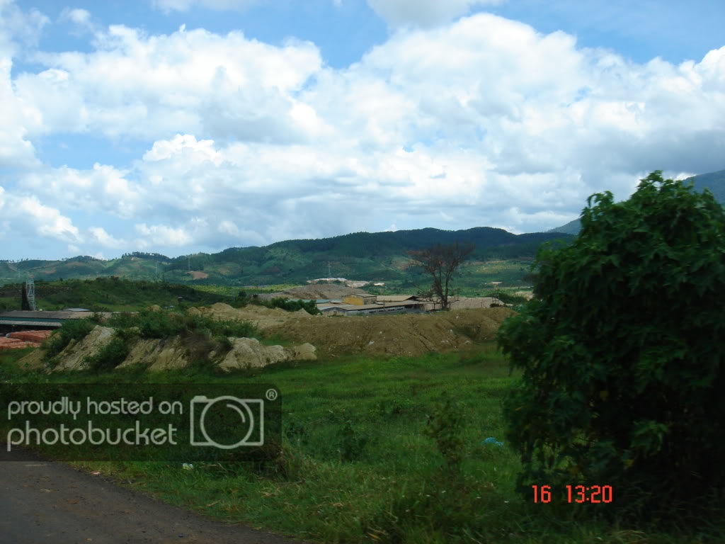 DSC00984.jpg