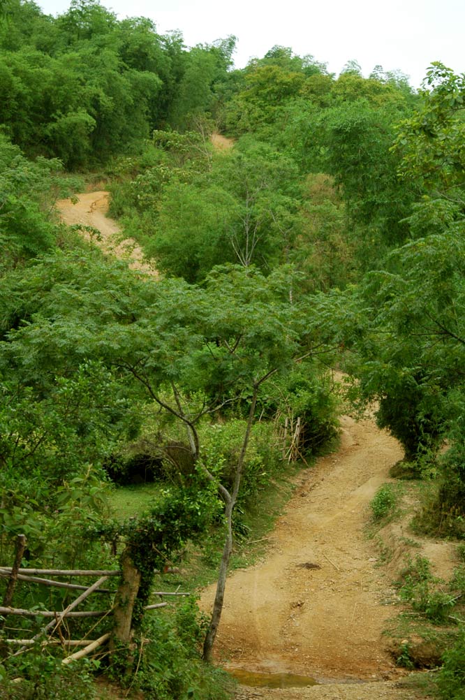DSC_4000.jpg