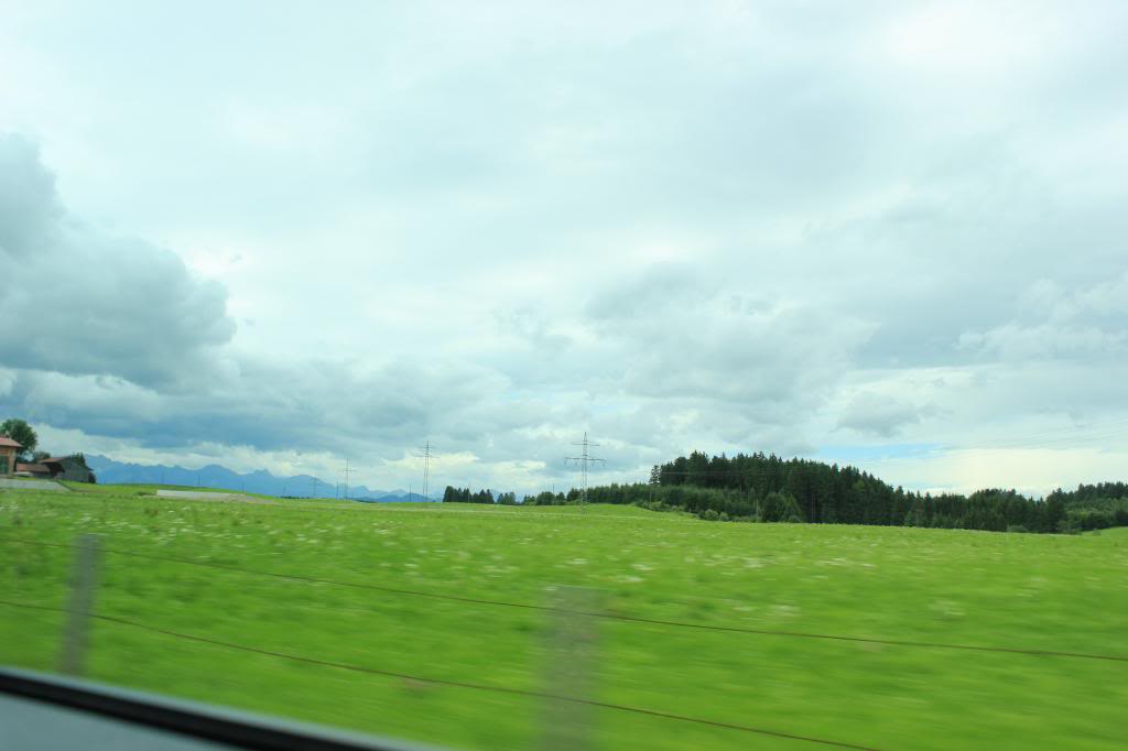 IMG_2974_zps8c166c86.jpg