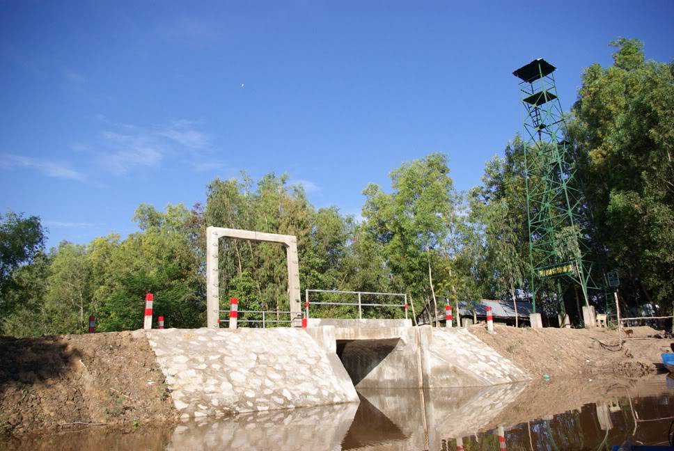 HC82.jpg