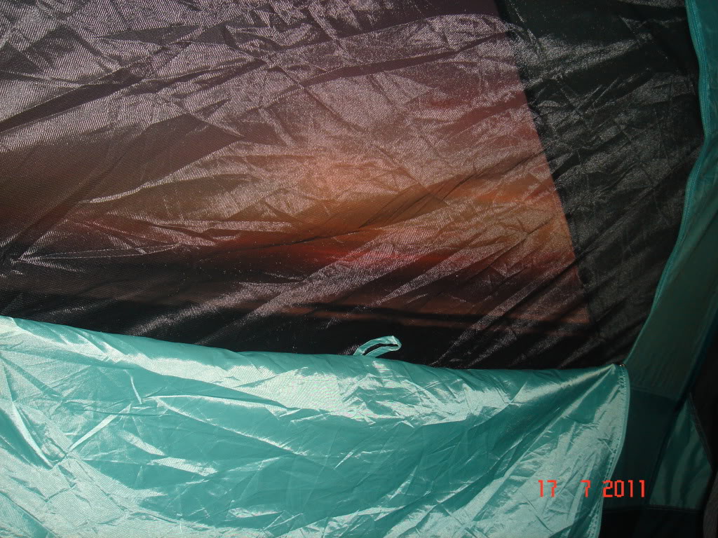 DSC01329.jpg