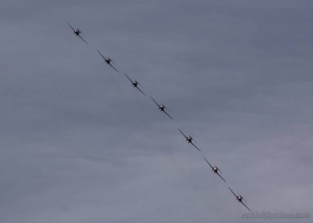 snowbird4.jpg