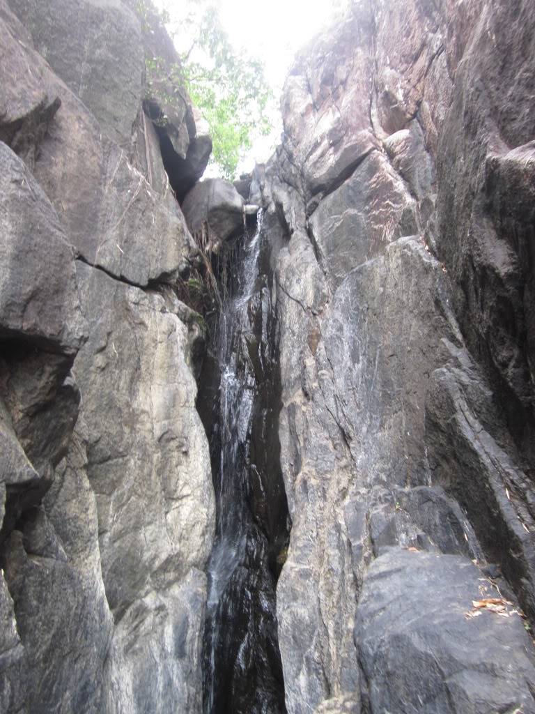 IMG_0475.jpg