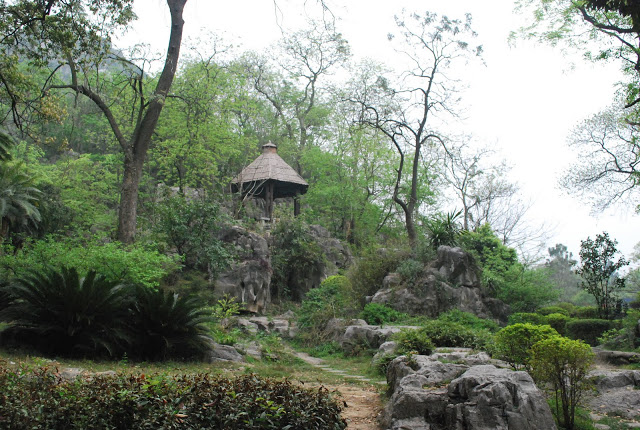 DSC_1900.JPG