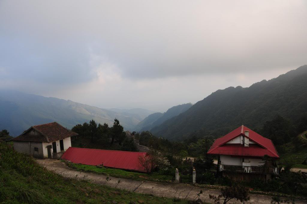 DSC_1545.jpg