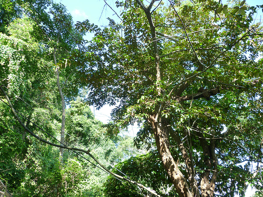 P1070280_zps50e013a0.jpg