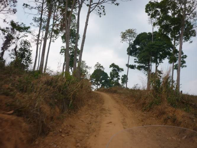 P1050780-1.jpg