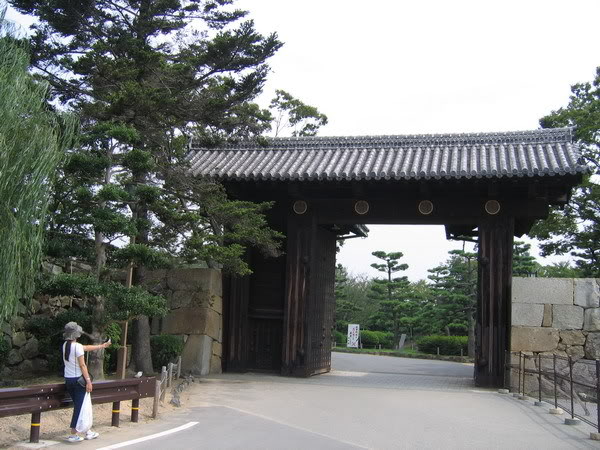 IMG_0484_resize.jpg