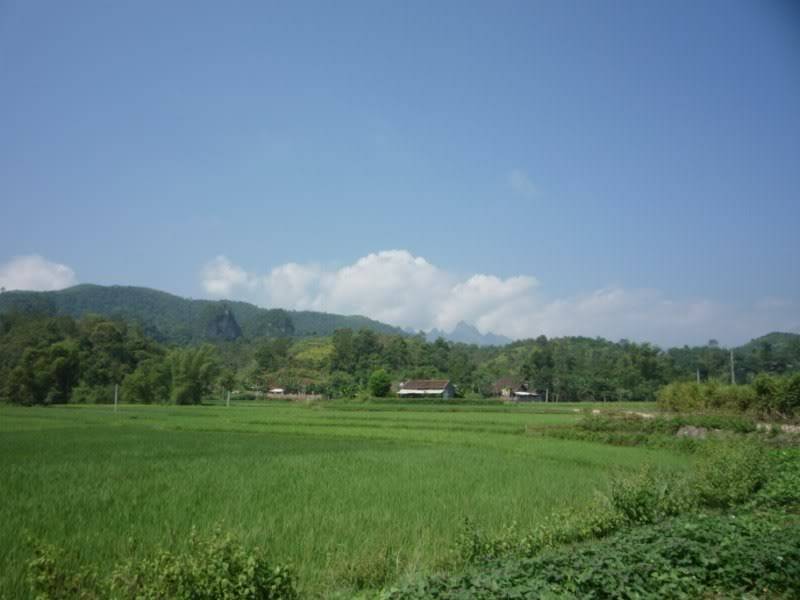 P1010865800x600.jpg