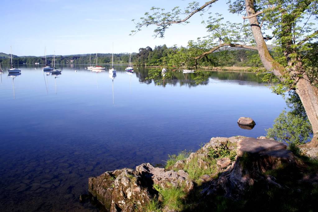 _MG_7452.jpg
