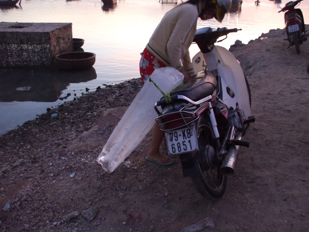 DSCF41731.jpg