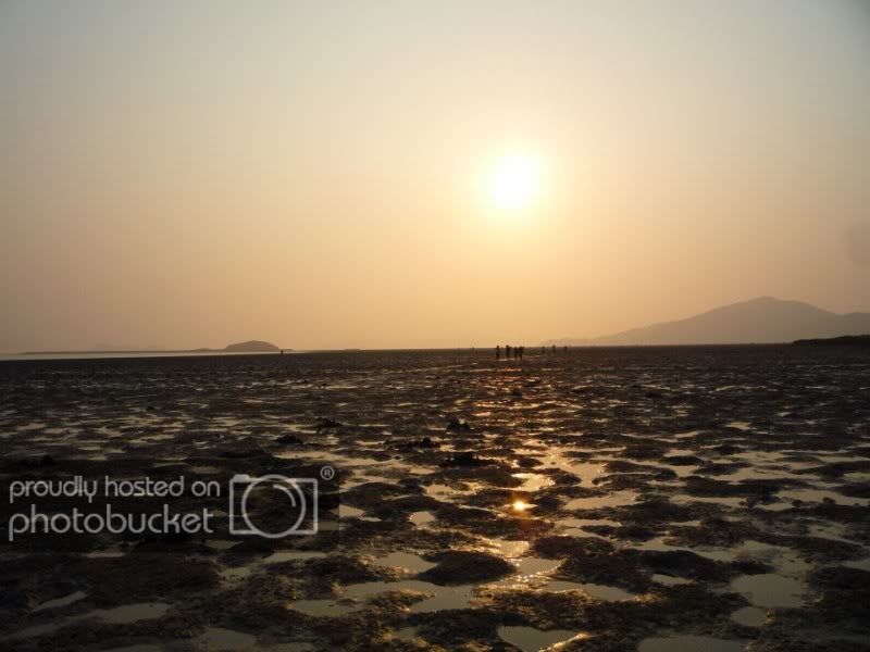 P1030999800x600.jpg