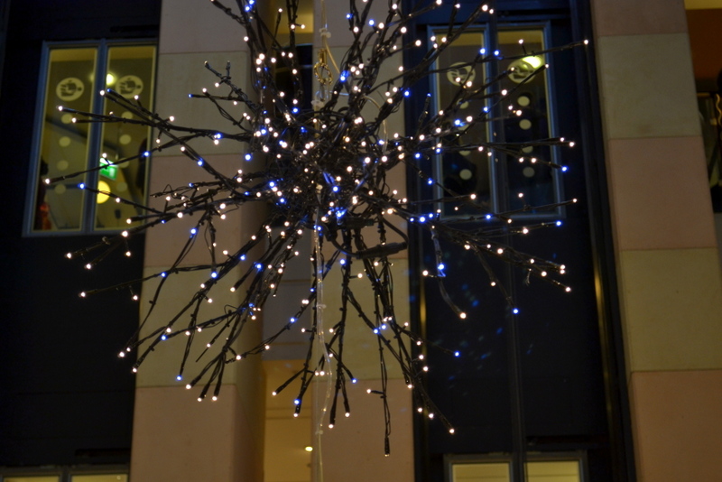 DSC_0345.jpg