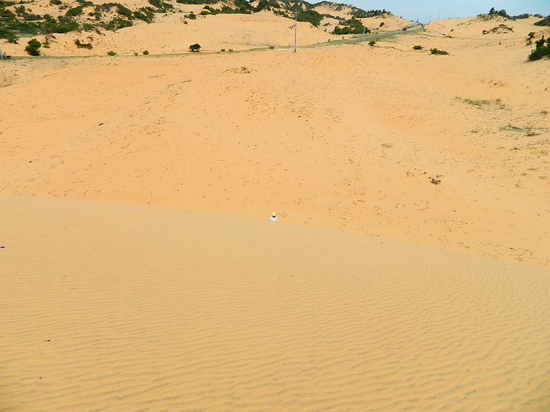 DSCN2153.jpg