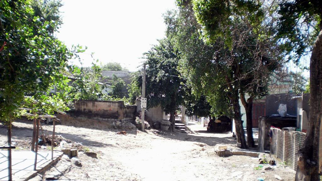 107.jpg