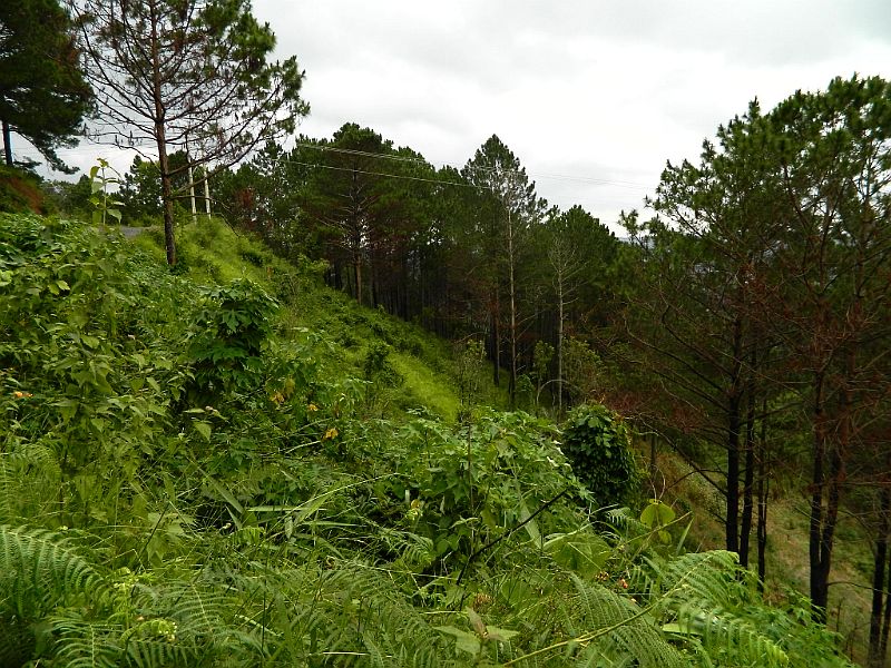 DSCN1709.jpg