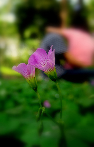 3441609150_0f5387e341.jpg