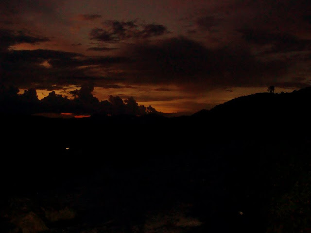 DSC03484_resize.JPG