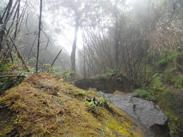 DSC01402_zps712898d0.jpg