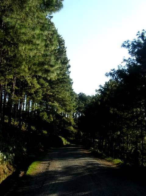 PB020281.jpg
