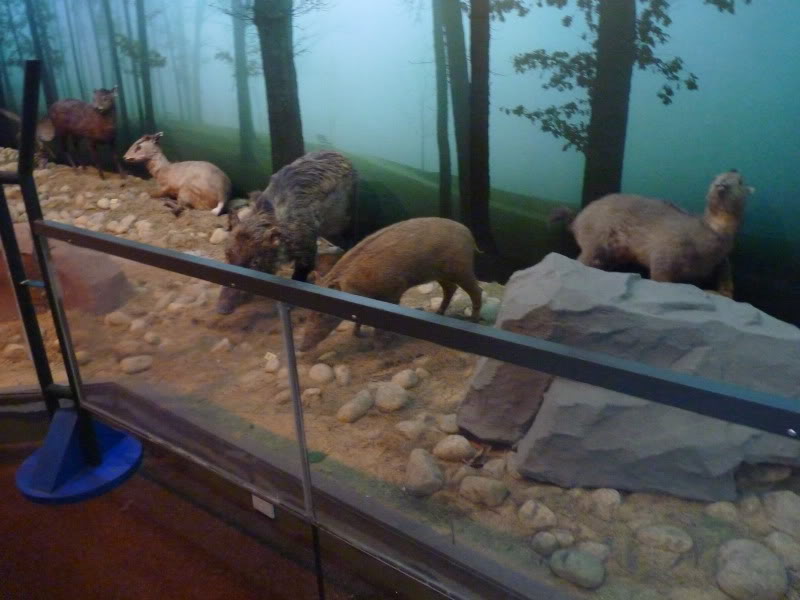 P1030876.jpg