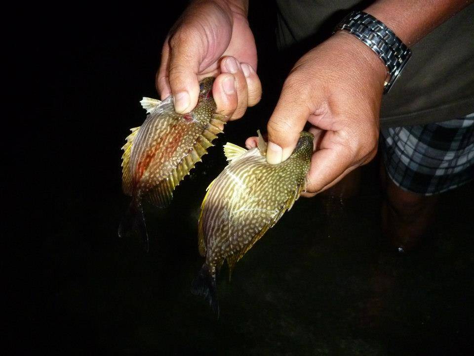 169_zps986433d5.jpg