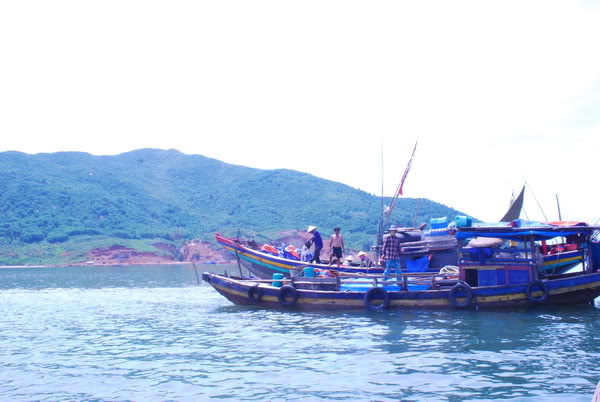 thang383.jpg