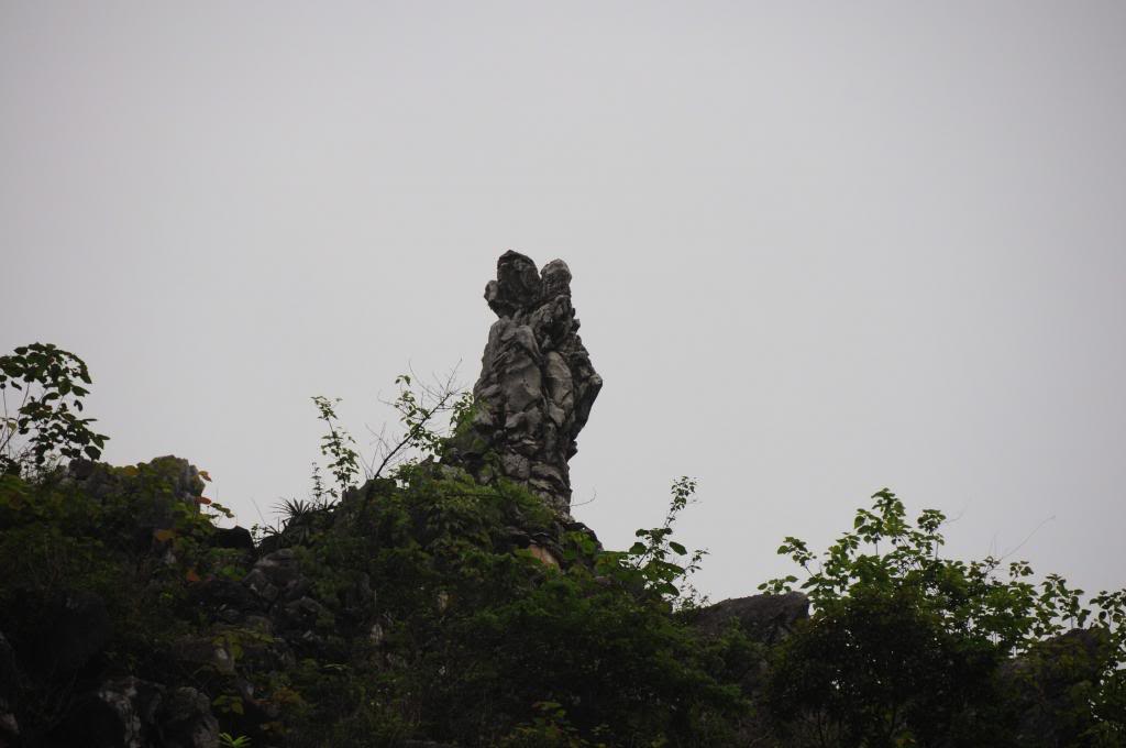 DSC_1669.jpg