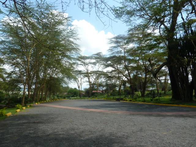 L1010768.jpg