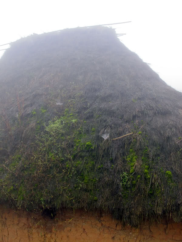 HongNgai2011324.jpg