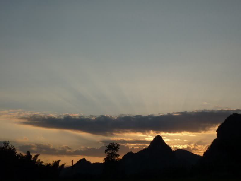 P1010929800x600.jpg