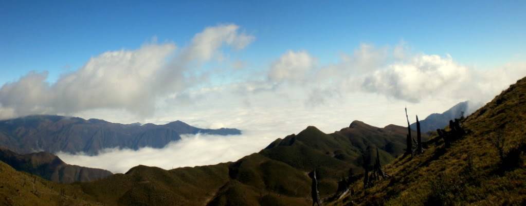 Panorama6.jpg