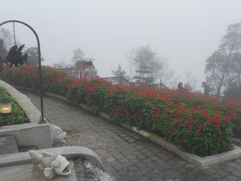 DSCN0146_zpsngquibkp.jpg