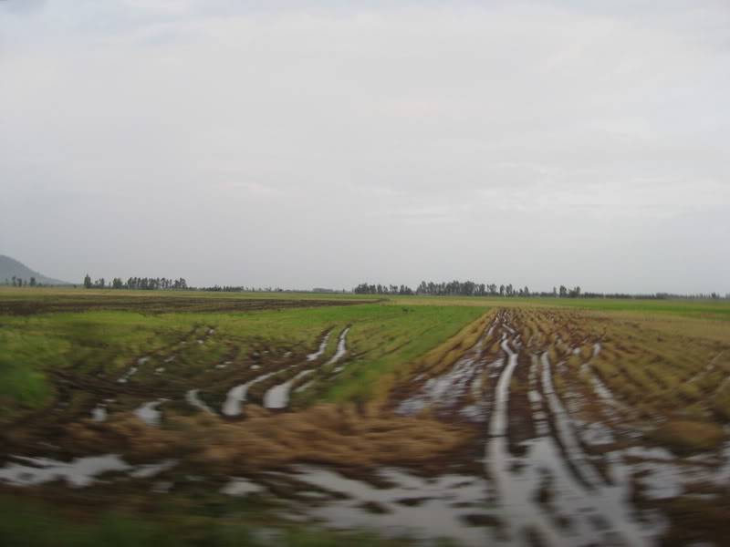 IMG_0559_resize.jpg