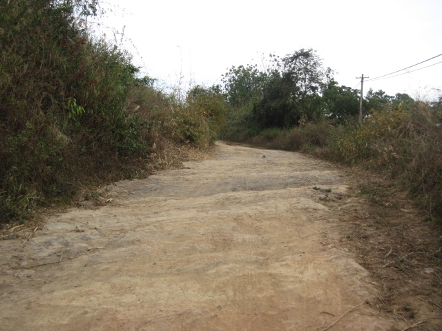 IMG_1633.jpg