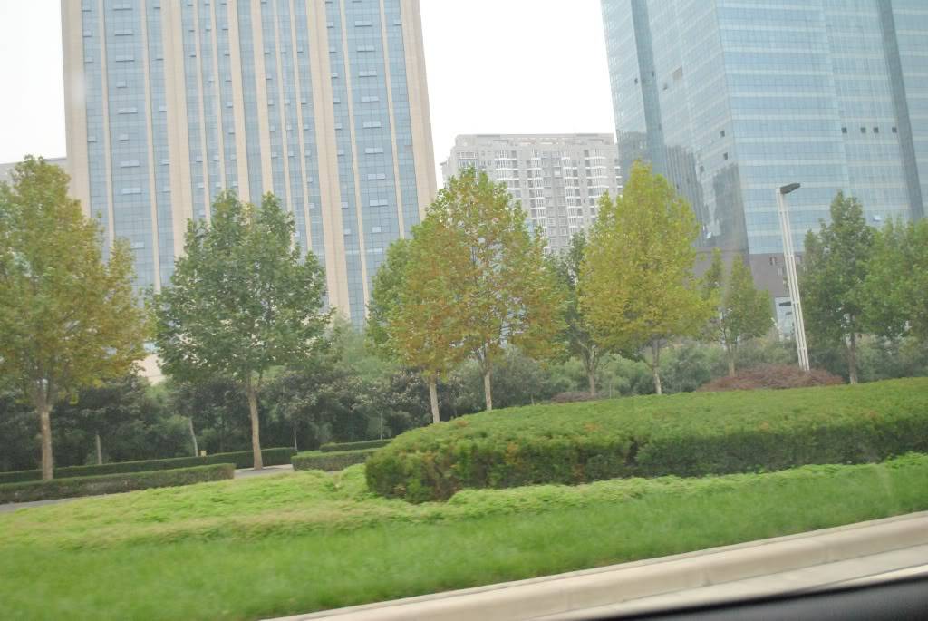 DSC_9112.jpg