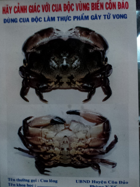 20121121_182348.jpg
