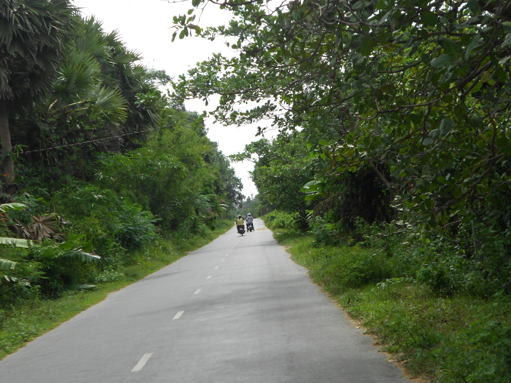DSCN0166.jpg