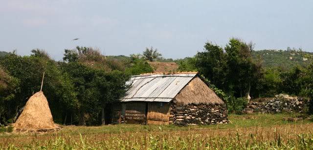 IMG_0610.jpg